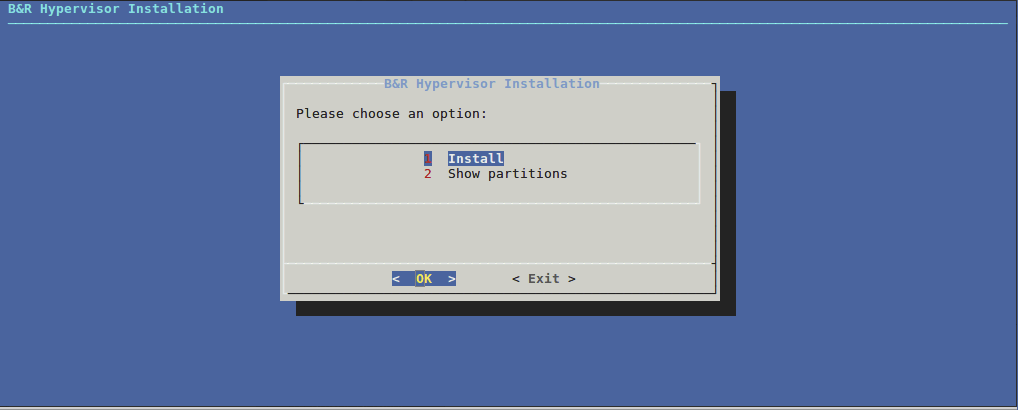 dialog installation - show partitions